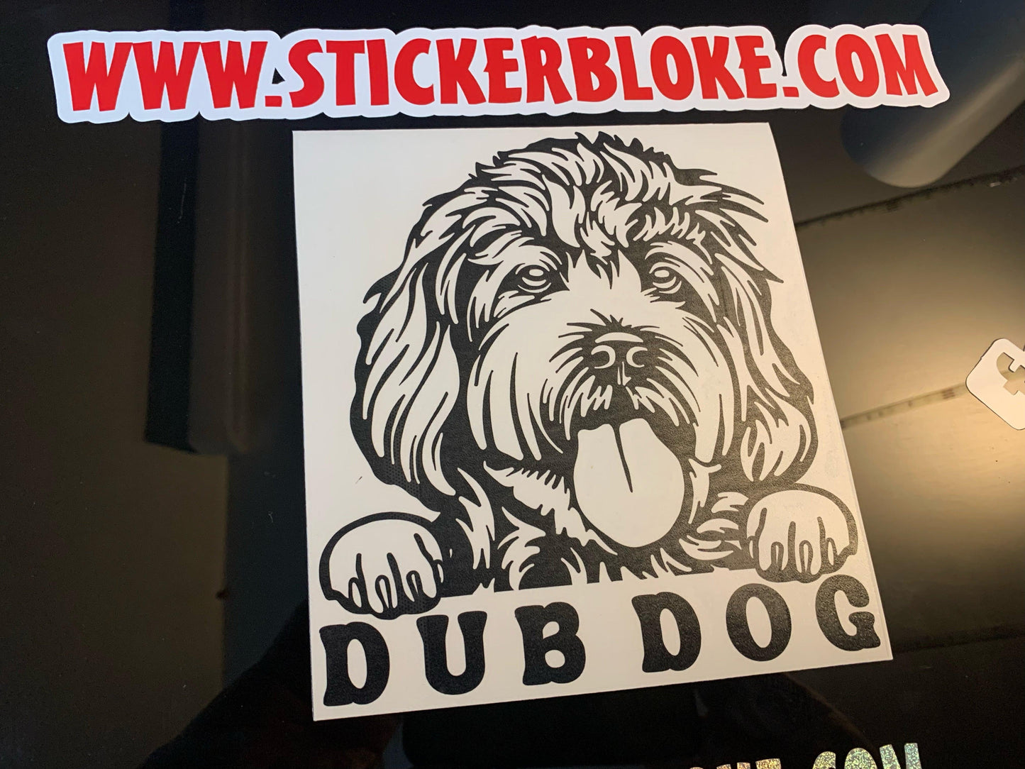 DUB DOG COCKAPOO
