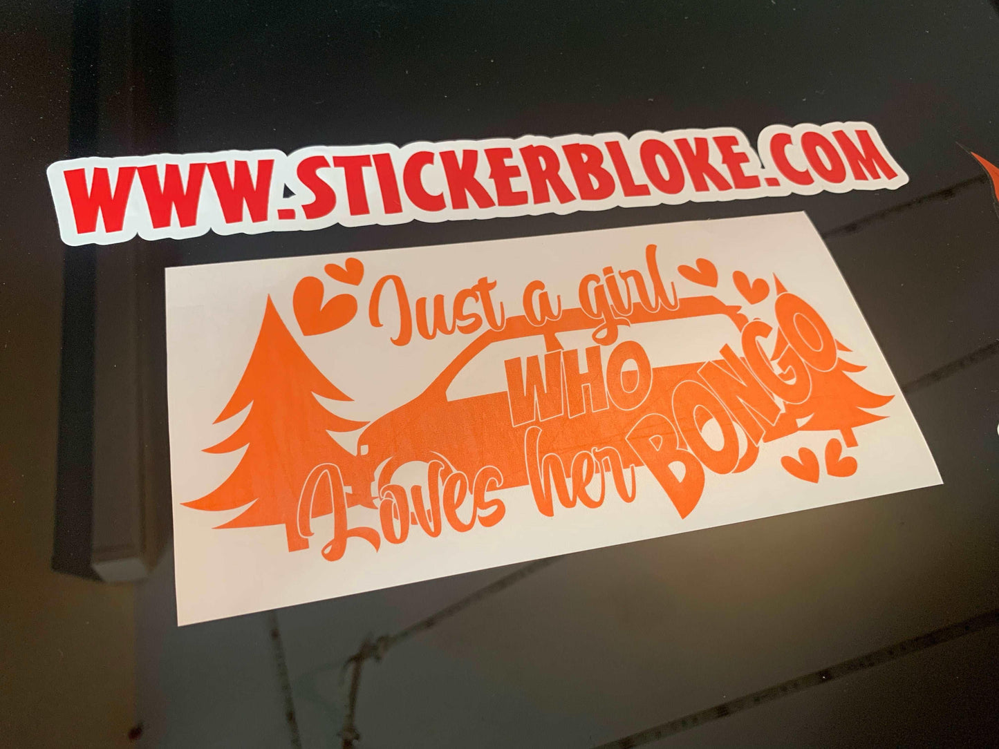 Copy of JUST A GIRL WHO LOVES HER BONGO STICKER