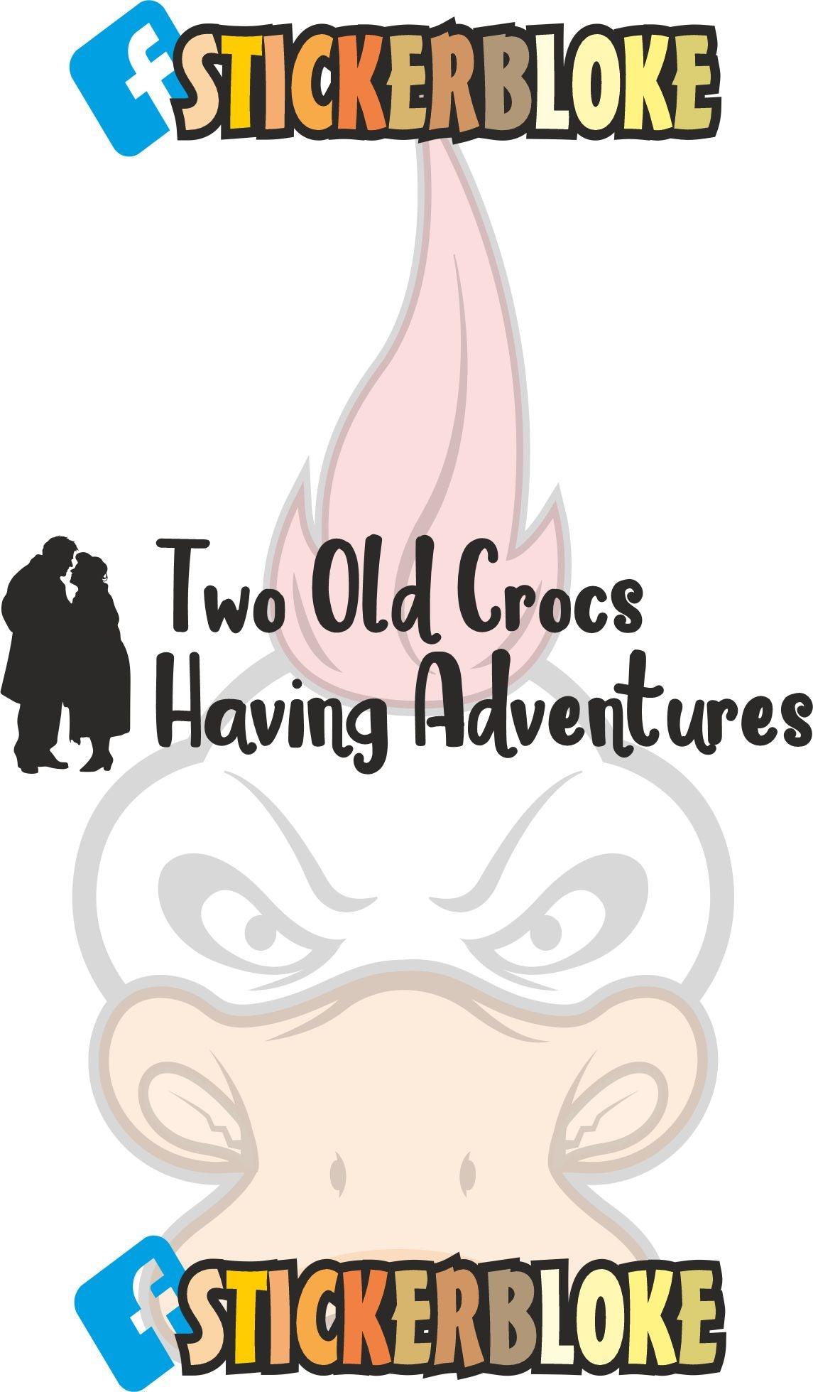 TWO OLD CROCS HAVING ADVENTURES