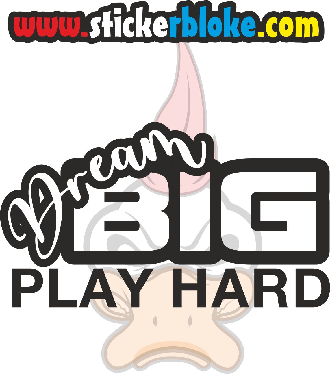 DREAM BIG PLAY HARD