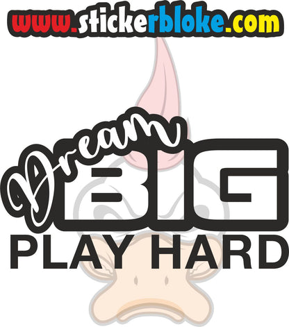 DREAM BIG PLAY HARD