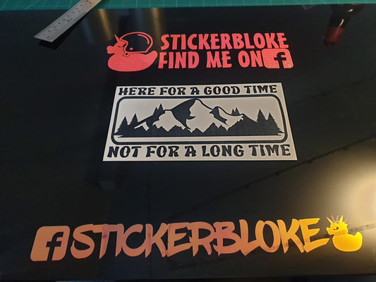 HERE FOR A GOOD TIME NOT FOR A LONG TIME STICKER