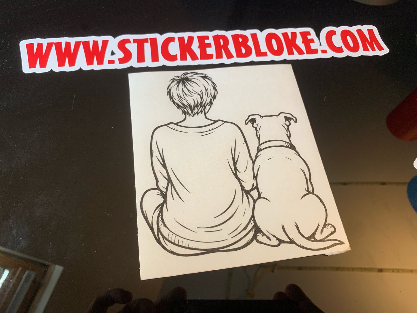 LADY SAT WITH STAFFY DOG SHORT HAIR