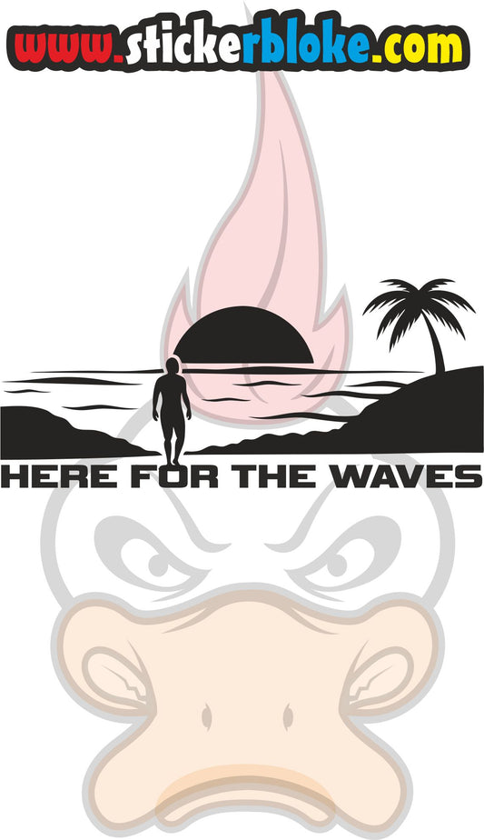 HERE FOR THE WAVES