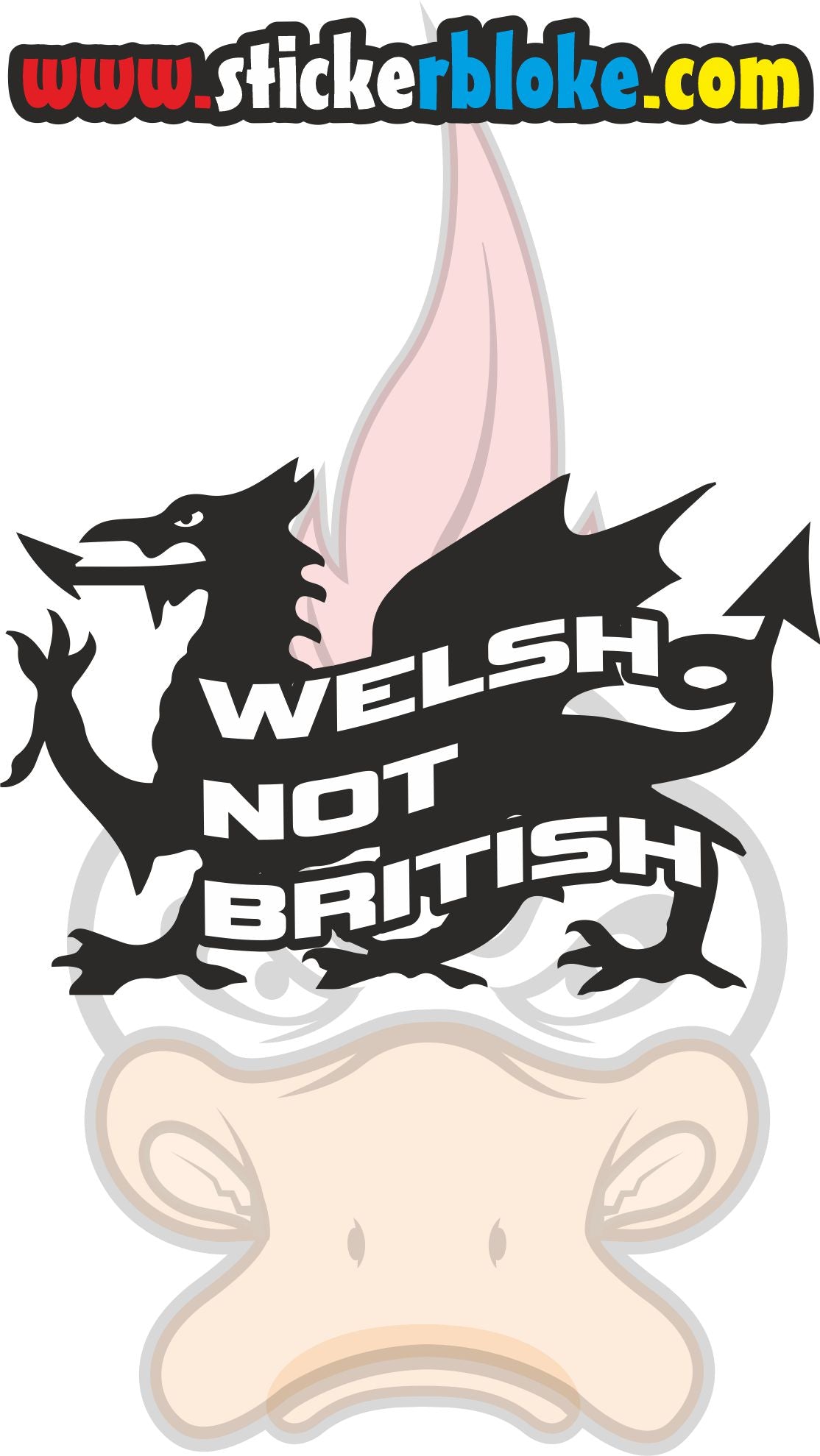 WELSH NOT BRITISH
