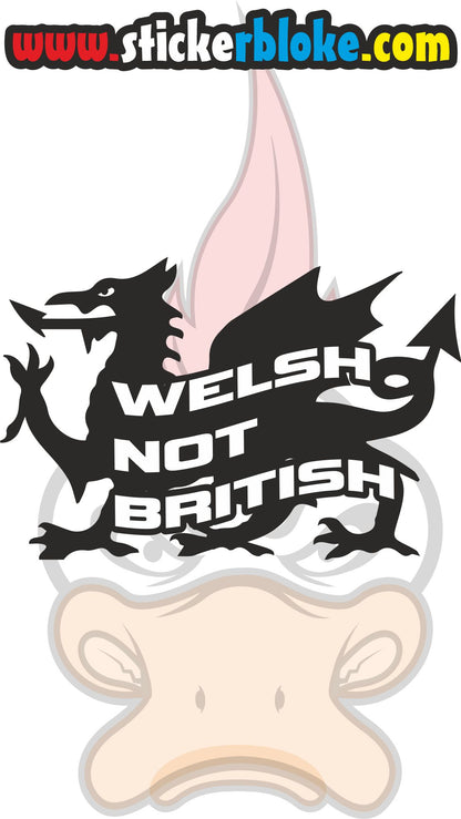 WELSH NOT BRITISH