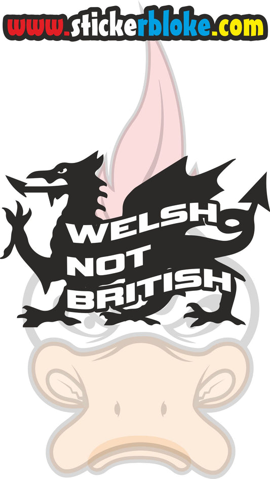 WELSH NOT BRITISH