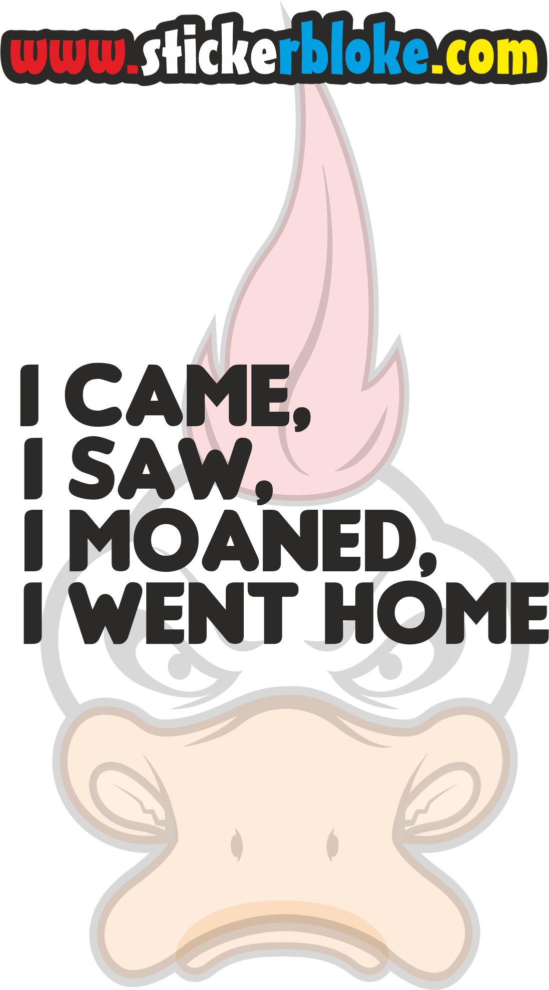 I CAME I SAW I MOANED I WENT HOME STICKER
