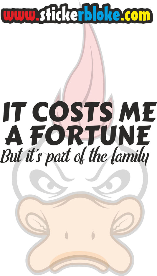 IT COSTS ME A FORTUNE BUT ITS PART OF THE FAMILY