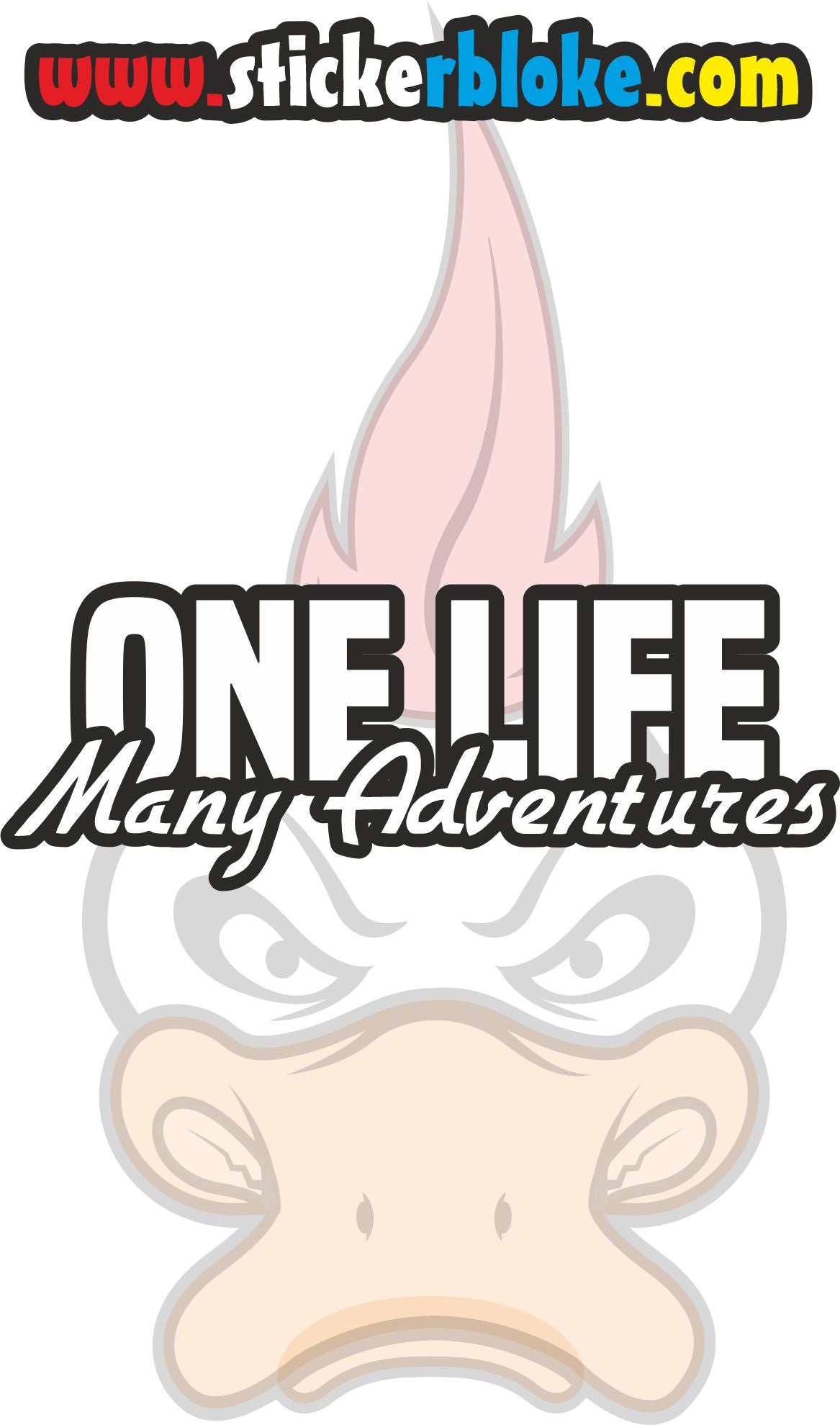 ONE LIFE MANY ADVENTURES STICKER