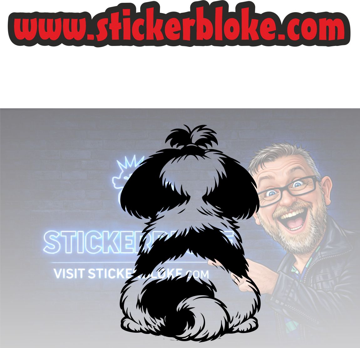 SHIH TZU REAR VIEW