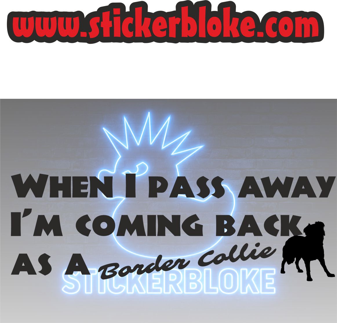 WHEN I PASS AWAY IM COMING BACK AS A BORDER COLLIE