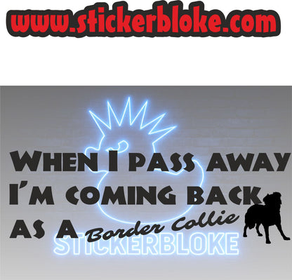 WHEN I PASS AWAY IM COMING BACK AS A BORDER COLLIE
